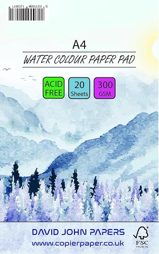 Watercolour artist sketch - watercolour,